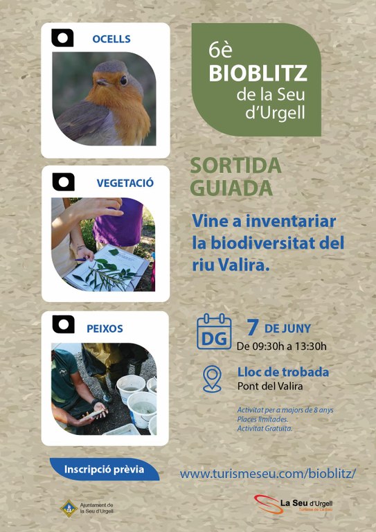 noticia_1780031536.jpg