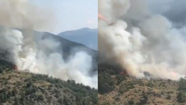 Incendi de vegetació forestal en una zona inaccessible de la Serra de Roques Codolles