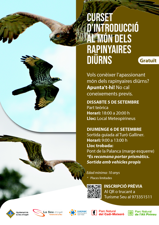 noticia_1787029896.png
